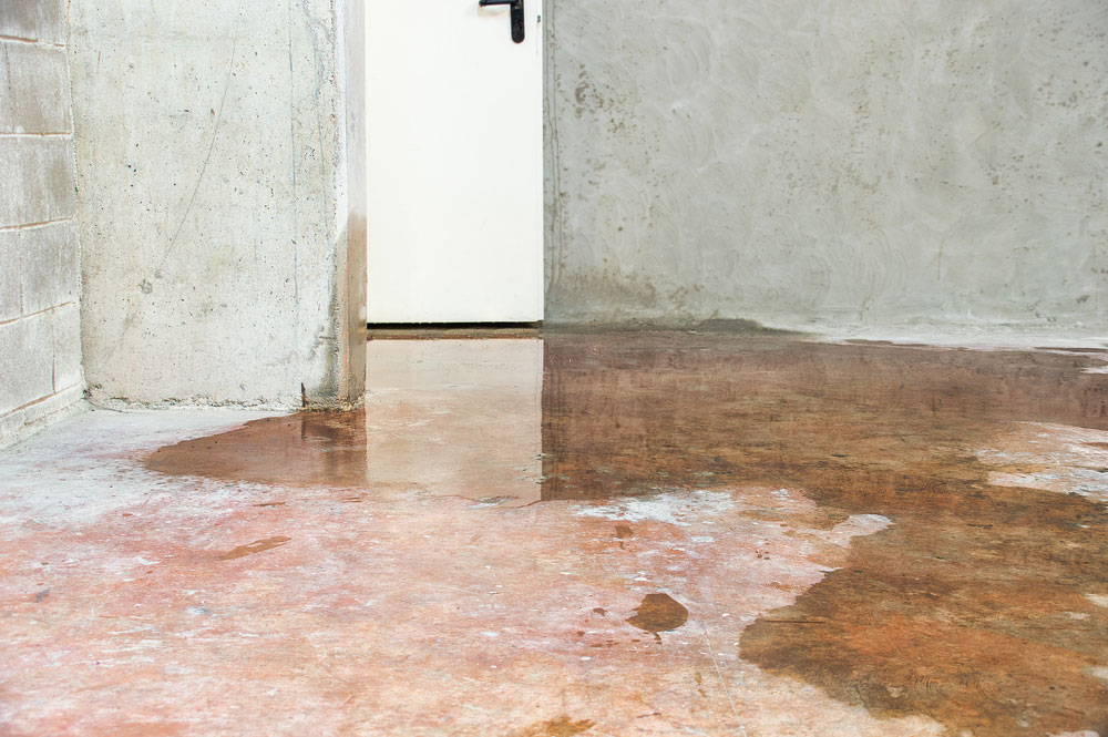 When Does a Basement Wall Leak Require Structural Engineering Instead of Just Sealing?